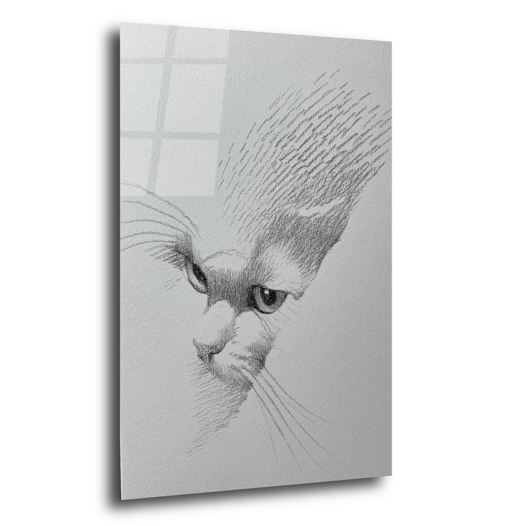 Eskiz Kedi Tasarımı Cam Tablo KD122 2
