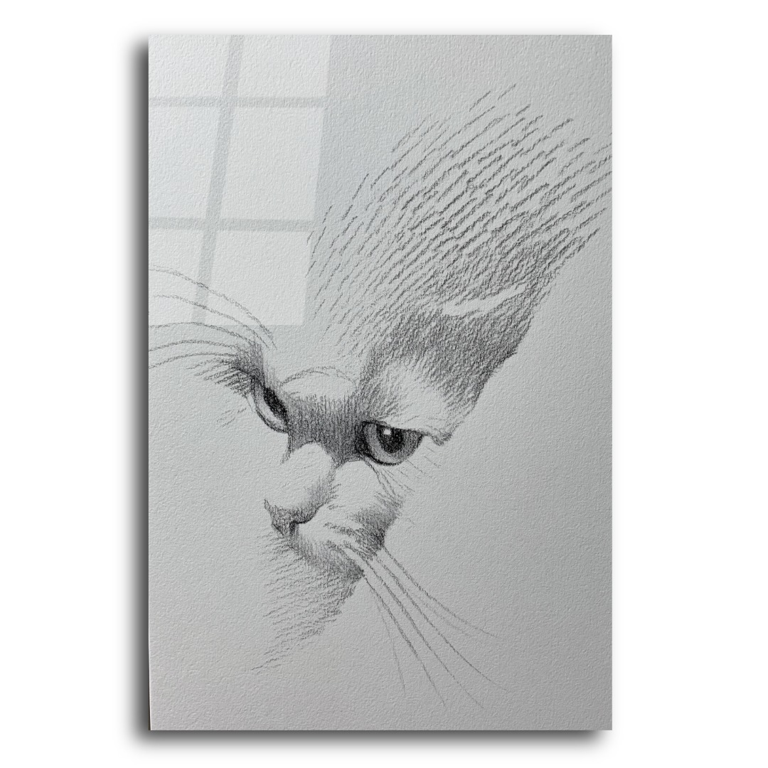 Eskiz Kedi Tasarımı Cam Tablo KD122 3