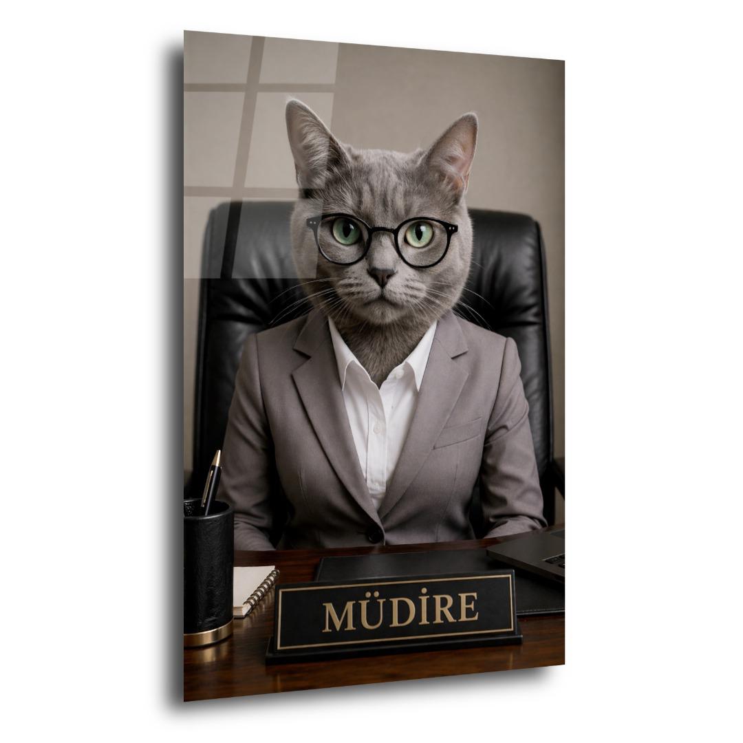 Müdire 3